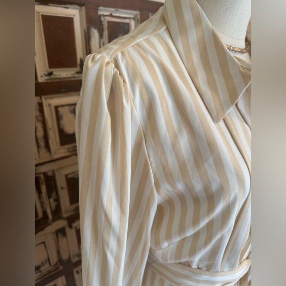 Alex Marie Jesse Cream Striped Shirt Dress - size 14 - Picture 5 of 12
